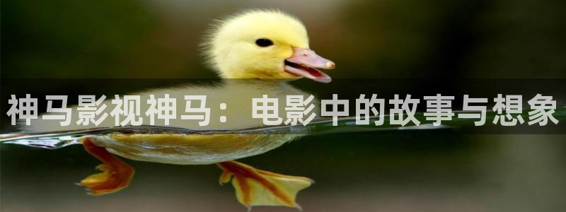 草民福利视频：神马影视神马：电影中的故事与想象