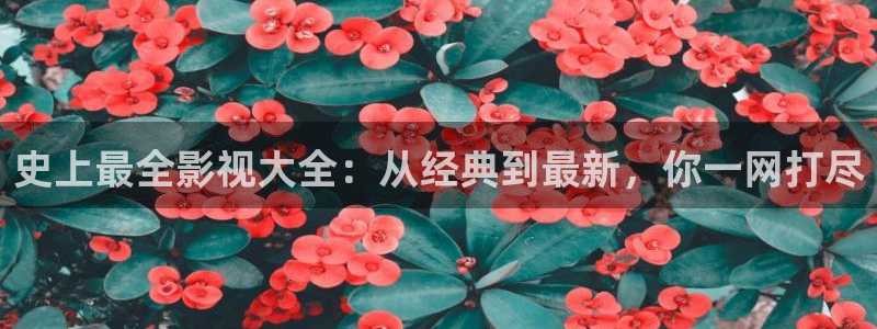 草民伦理影院：史上最全影视大全：从经典到最新，你一网打尽