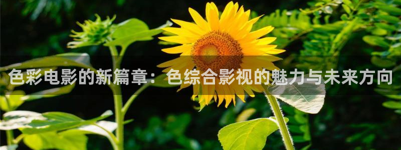 草民电视剧免费观看完整：色彩电影的新篇章：色综合影视的魅力与未来方向