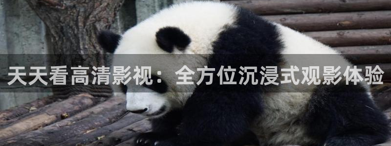 草民电影网免费：天天看高清影视：全方位沉浸式观影体验