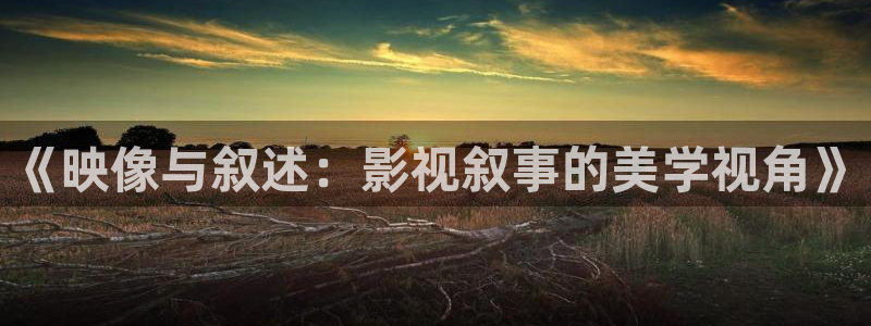 草民影院免：《映像与叙述：影视叙事的美学视角》