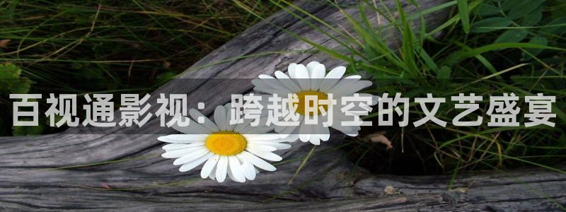 草民欧美电影网：百视通影视：跨越时空的文艺盛宴