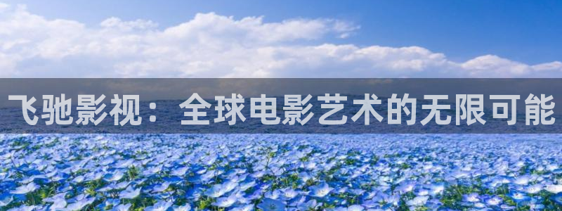 草民欧美电影：飞驰影视：全球电影艺术的无限可能