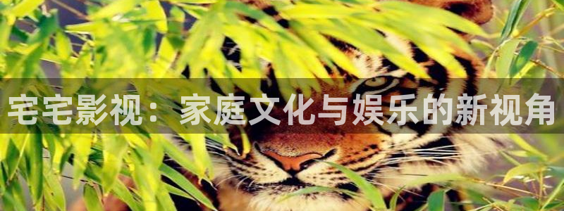 草民影院 伦理片：宅宅影视：家庭文化与娱乐的新视角