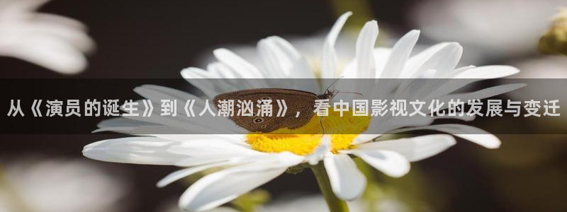 草民网电视剧免费播放在线观看：从《演员的诞生》到《人潮汹涌》，看中国影视文化的发展与变迁